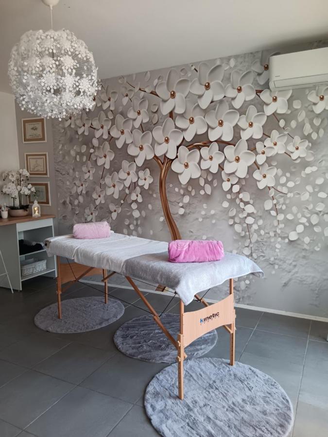 Appartement Chambre Cosy Non Fumeur à Châteaurenard Extérieur photo